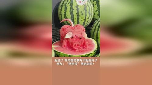 西瓜视频吃瓜猪娱乐,西瓜视频热门搞笑内容盘点 第3张 西瓜视频吃瓜猪娱乐,西瓜视频热门搞笑内容盘点 第3张